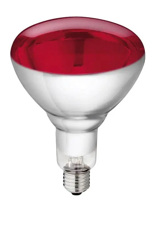 Beliebt Philips Infrarot-Hartglaslampe